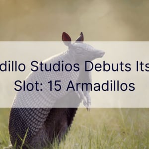 Armadillo Studios își lansează primul slot: 15 Armadillos
