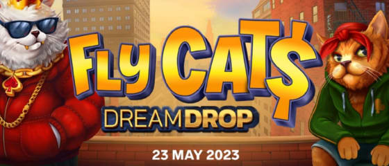 Relax Gaming duce jucÄƒtorii la New York Ã®n jocul de slot Fly Cats
